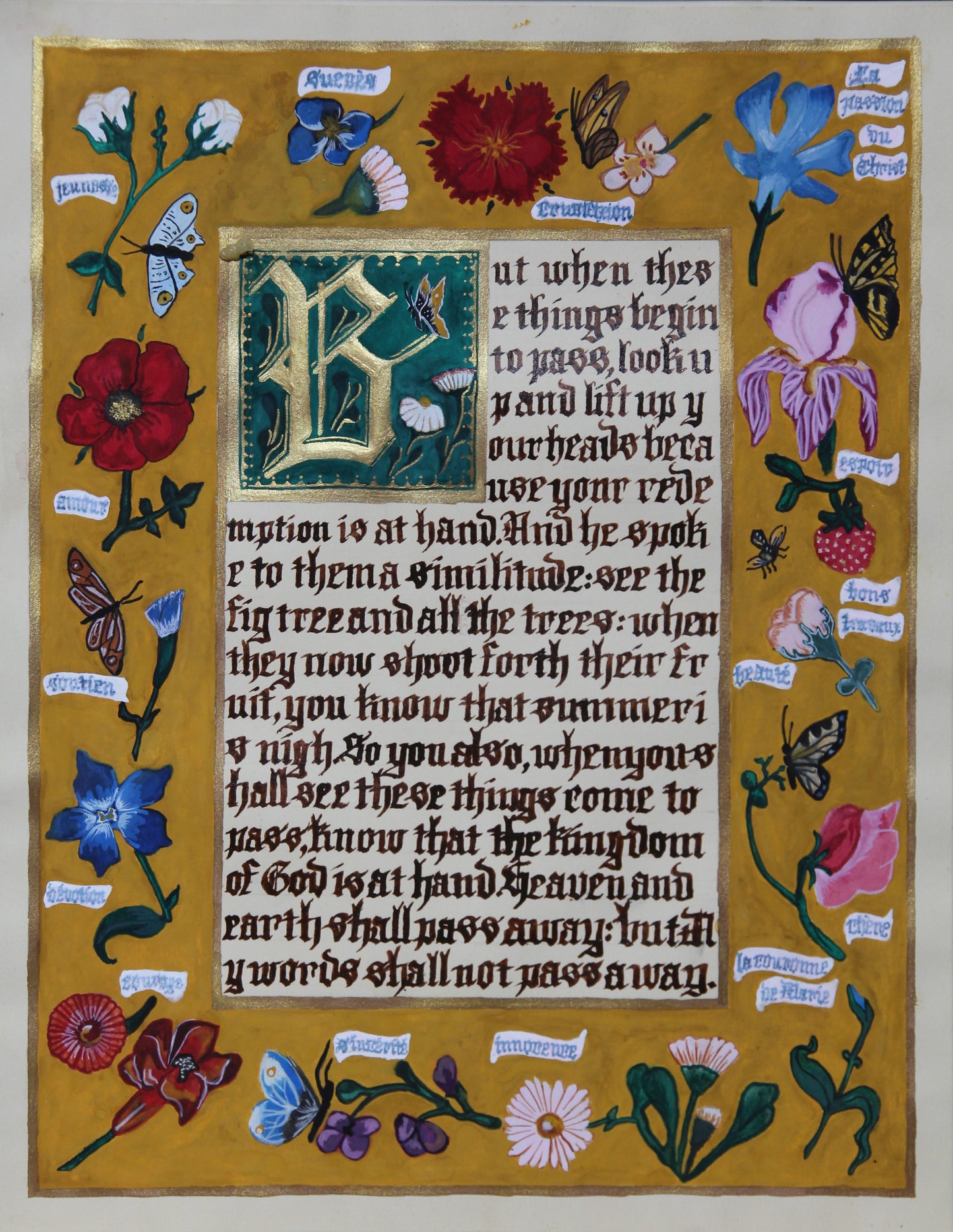 The Meaning of Flowers