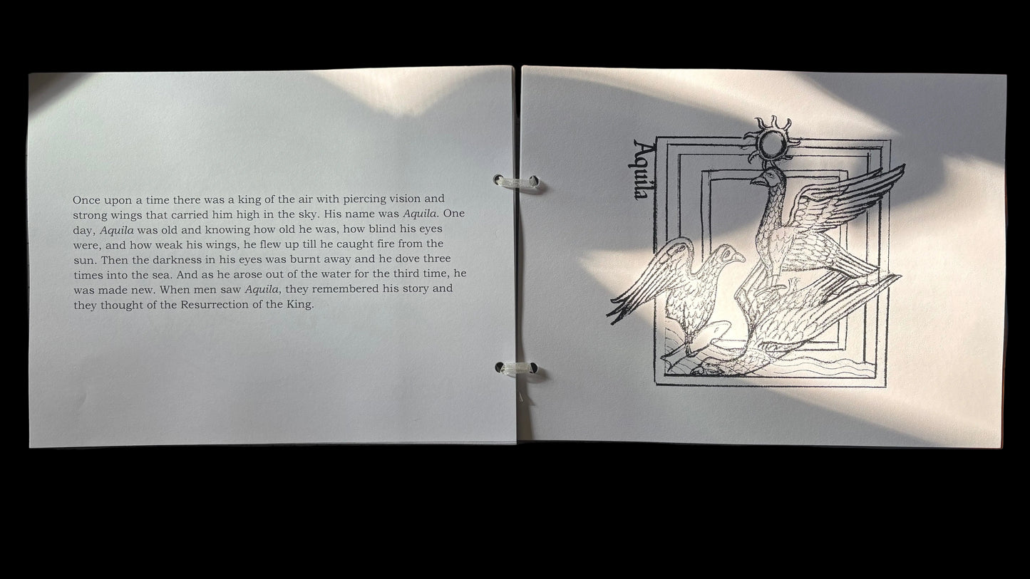 Bestiary of Christ: A Coloring & Storybook