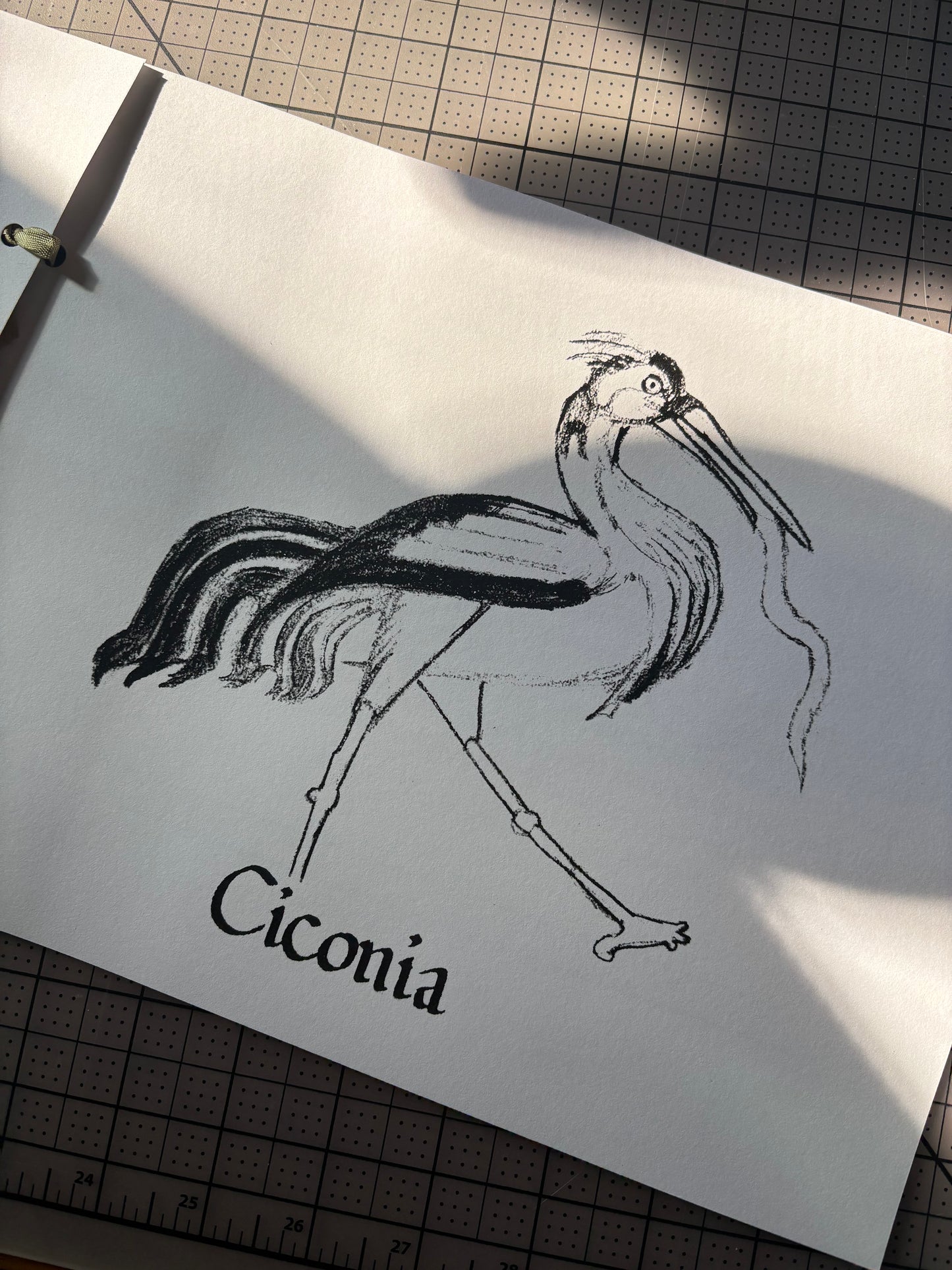 Bestiary of Christ: A Coloring & Storybook