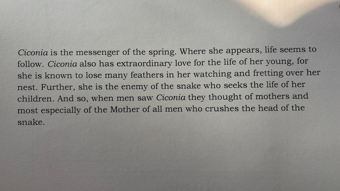 Bestiary of Christ: A Coloring & Storybook